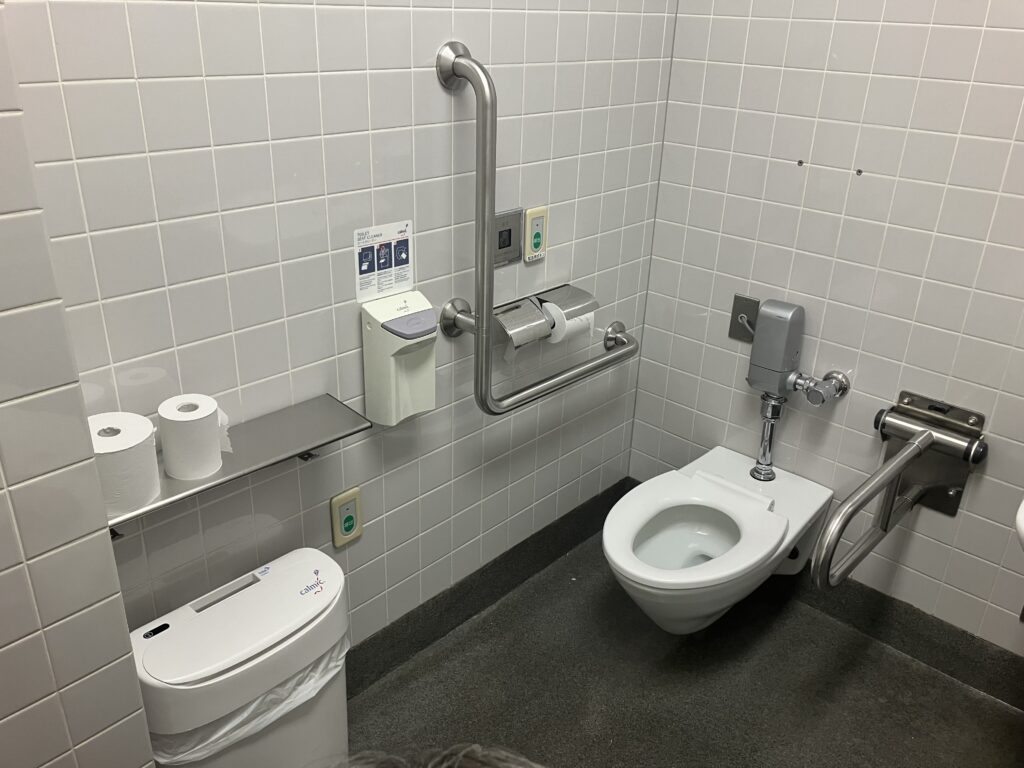 右側に壁と手すりがあるトイレ