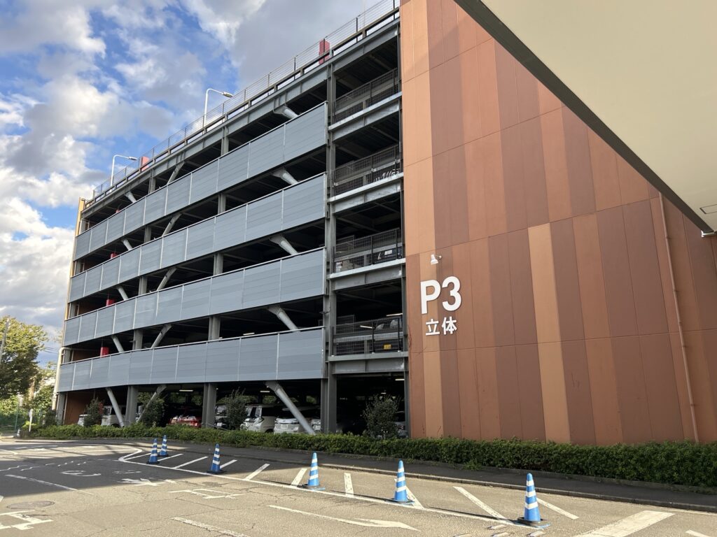 P3全体像